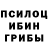 Псилоцибиновые грибы Psilocybe GameFenix TV