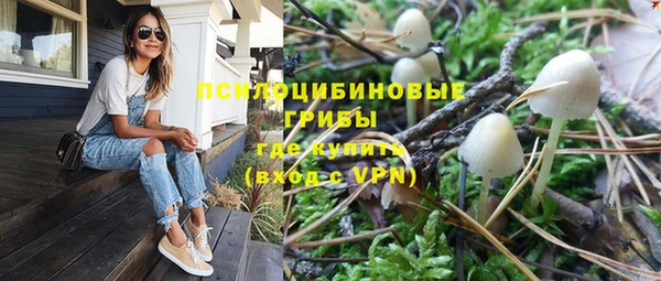 хмурый Алексеевка