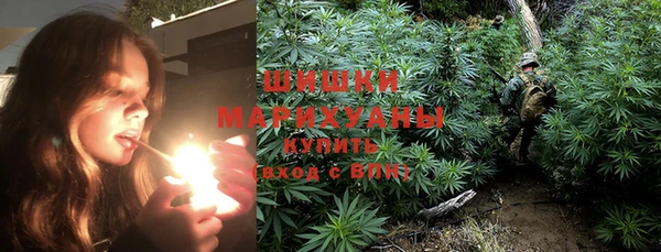шишки Покачи