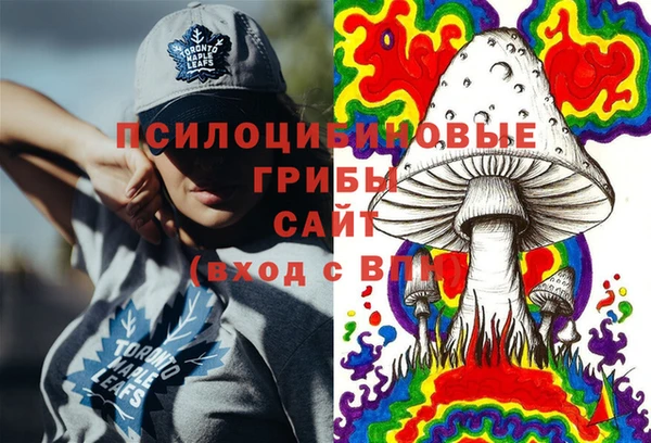 хмурый Алексеевка