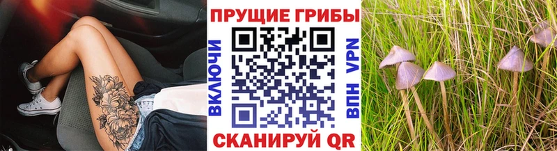 Галлюциногенные грибы MAGIC MUSHROOMS  Омутнинск 